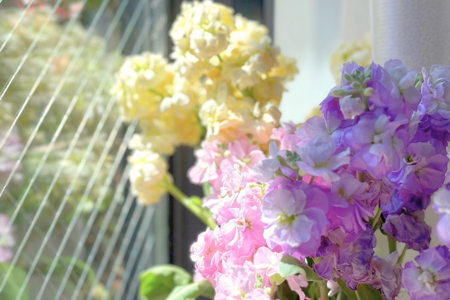 <香りを楽しむ生花> 新生活の心を整える、「癒しの空間づくり」のガイド。